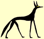 Jackal